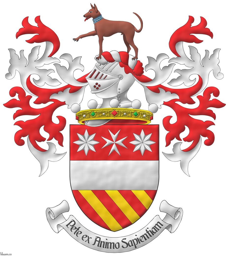 Gules, a fess between, in chief a Maltese cross between two mullets of eight Argent, in base three bendlets Or. Crest: Upon a helm issuant from a crown of Noble above the shield a with a wreath Argent and Gules, a Cirneco dellEtna hound passant proper, gorged of a collar of meanders motifs Azure and Argent. Mantling: Gules doubled Argent. Motto: Pete ex Animo Sapientiam.