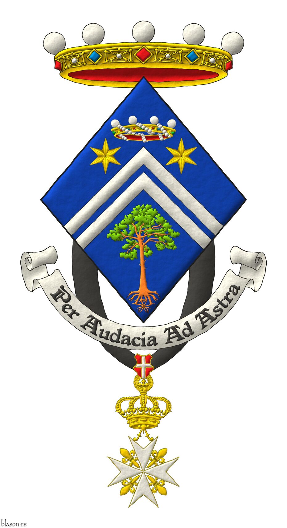 Escudo de azur, dos tenazas de plata, en cada flanco del jefe dos estrellas de seis puntas de oro surmontadas de una corona de bar�n y en la punta un pino silvestre (Pinus sylvestris) arrancado al natural. Timbrado de una corona de noble. Lema: �Per audacia ad astra�. Pendiente de la punta la cruz de dama de gracia y devoci�n de la Soberana y Militar Orden Hospitalaria de San Juan de Jerusal�n de Rodas y de Malta.