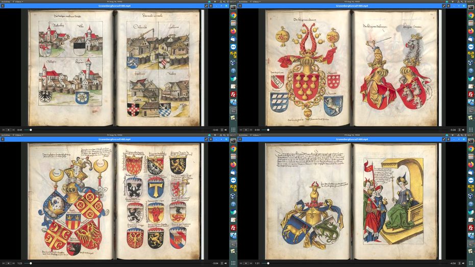 Frames 4 from Video, Grnenberg, 1480