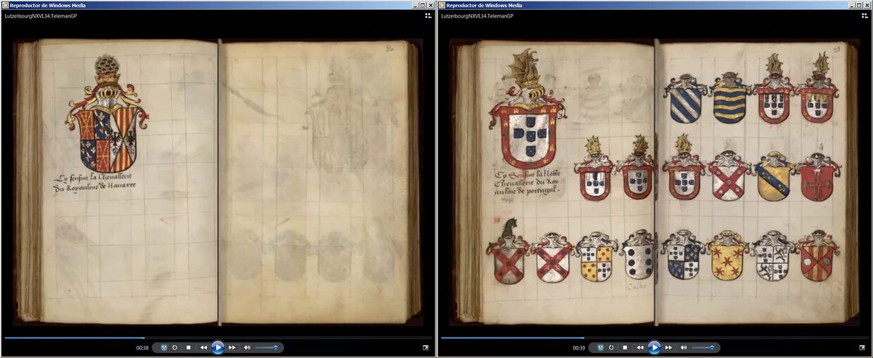 Vídeo, Navarra y Portugal, Lutzelbourg, N. de; 1530