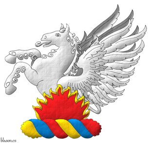 MaranBieF 50 Pegaso Burelete Piel jpg