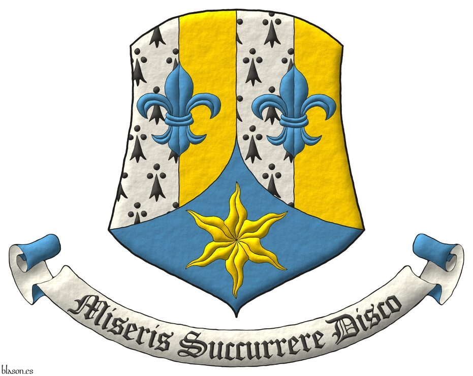 Escudo palado de cuatro piezas de armi�os y oro, brochante sobre el todo dos flores de lis en faja de azur; entado en punta de azur, una estrella ondada de oro. Lema: �Miseris Succurrere Disco�.