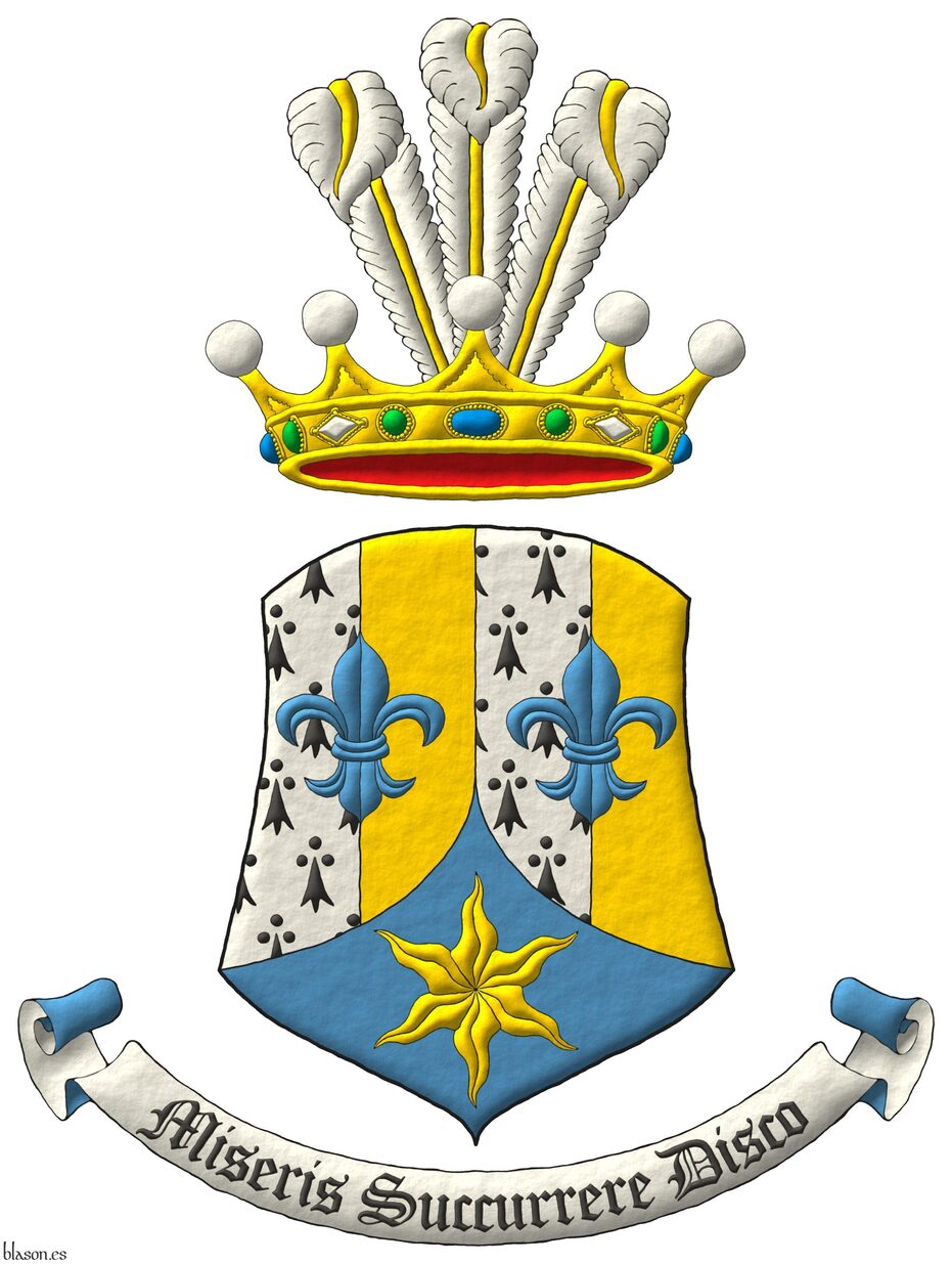 Escudo palado de cuatro piezas de armi�os y oro, brochante sobre el todo dos flores de lis en faja de azur; entado en punta de azur, una estrella ondada de oro. Timbrado de una corona de baronesa de la Serena Casa Principesca de Saint-Marc, en su calidad de herederos din�sticos del Imperio de Hait�, sumada de un penacho de tres plumas de plata, fustadas de oro. Lema: �Miseris Succurrere Disco�.