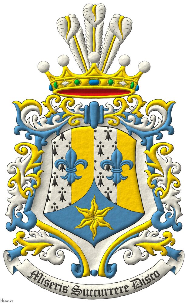 Escudo palado de cuatro piezas de armi�os y oro, brochante sobre el todo dos flores de lis en faja de azur; entado en punta de azur, una estrella ondada de oro. Timbrado de una corona de baronesa de la Serena Casa Principesca de Saint-Marc, en su calidad de herederos din�sticos del Imperio de Hait�, sumada de un penacho de tres plumas de plata, fustadas de oro. Rodeado de un marco de grecas de plata, oro y azur. Lema: �Miseris Succurrere Disco�.