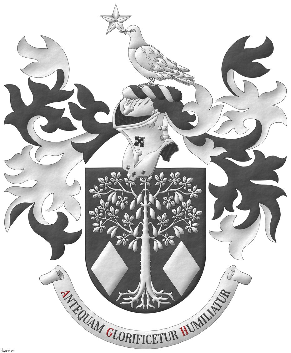 Sable, a kapok tree eradicated and fructed between in base two lozenges Argent. Crest: Upon a helm with a wreath Argent and Sable, a dove grasping in its beak a mullet Argent. Mantling: Sable doubled Argent. Motto: Antequam Glorificetur Humiliatur Sable, with initial letters Gules, over a scroll Argent.