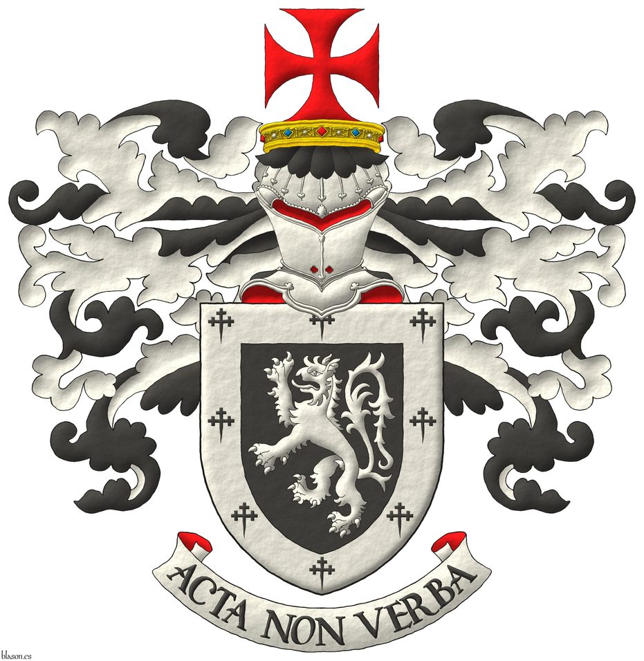 Escudo de sable, un tigre herldico rampante de plata; una bordura de plata cargada de ocho cruces recrucetadas, fijadas de sable. Timbrado de un yelmo de frente, adornado de dos lambrequines de sable doblados de plata, una cruz patada de gules naciente de una corona de caballero. Lema: Acta Non Verba sobre una filacteria de plata doblada de gules.