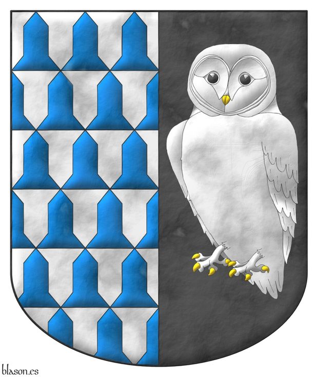 Party per pale: 1 Vair; 2 Sable, a barn owl Argent, the eyes Sable, beaked and armed Or.